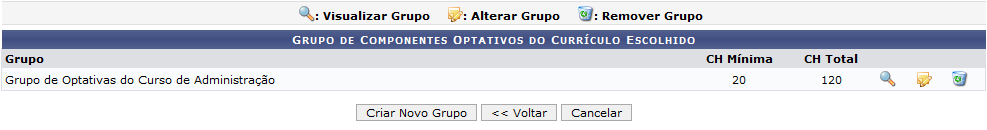 Figura 2: Grupo de Optativos do Currículo Escolhido