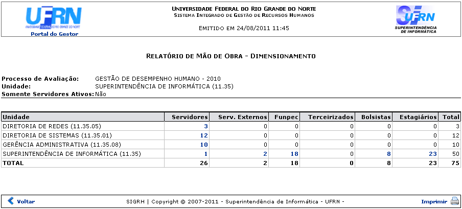 Figura 2: Relatório de Mão de Obra - Dimensionamento