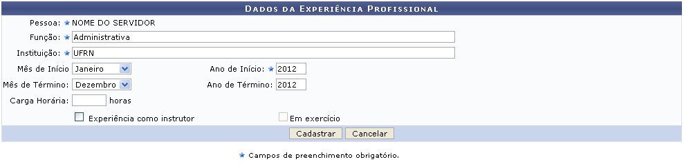 Figura 23: Dados da Experiência Profissional