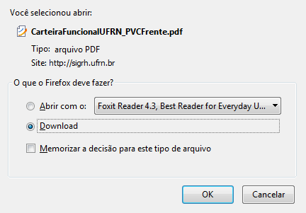 Figura 10: Visualização ou download do documento