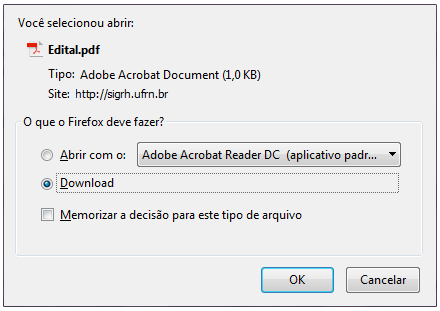 Figura 12: Janela de Confirmação do Download do Arquivo