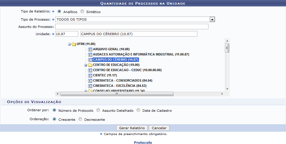 Figura 1: Quantidade de Processos na Unidade - Relatório Analítico