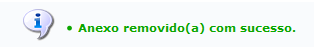 Figura 10: Mensagem de Sucesso para Remoção de Anexo