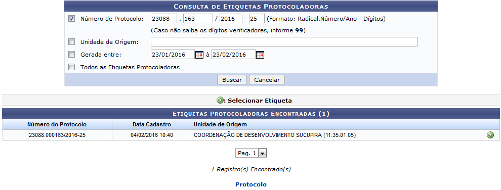 Figura 1: Consultas de Etiquetas Protocoladas